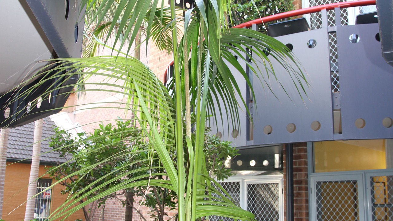 Photo of Outdoor in Woolloomooloo