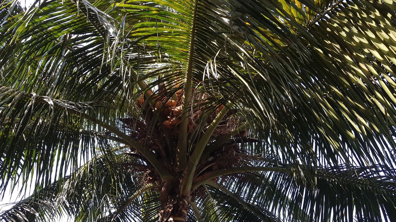 Photo of Outdoor in Gauravaddo