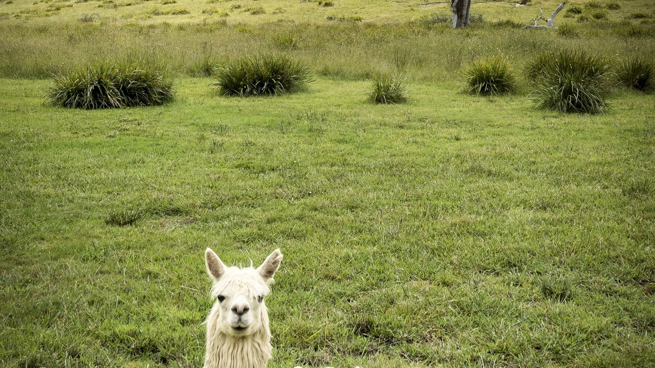 Photo of Outdoor in Bundanoon