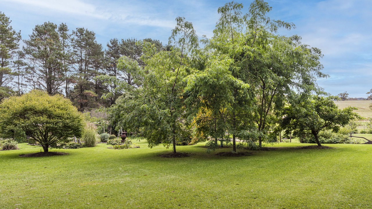 Photo of Outdoor in Bundanoon