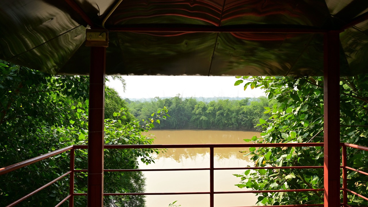 Photo of Outdoor in Warora