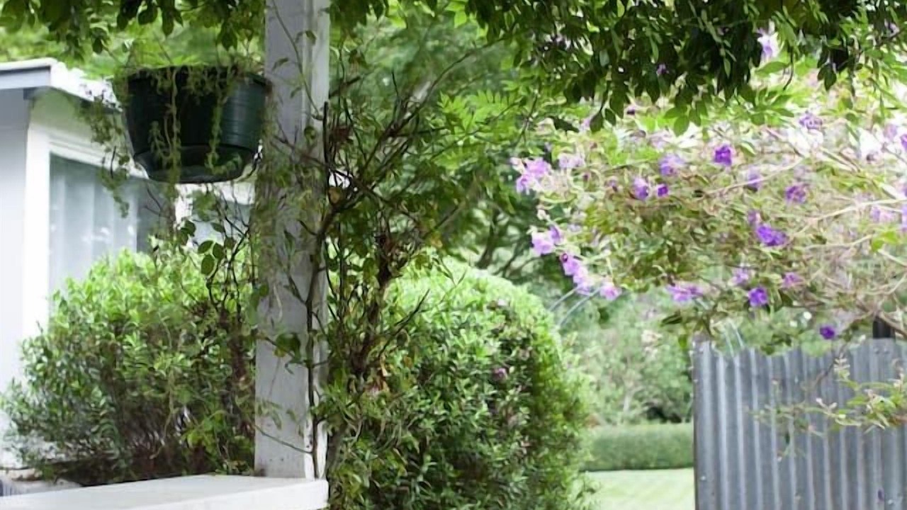 Photo of Outdoor in Leura