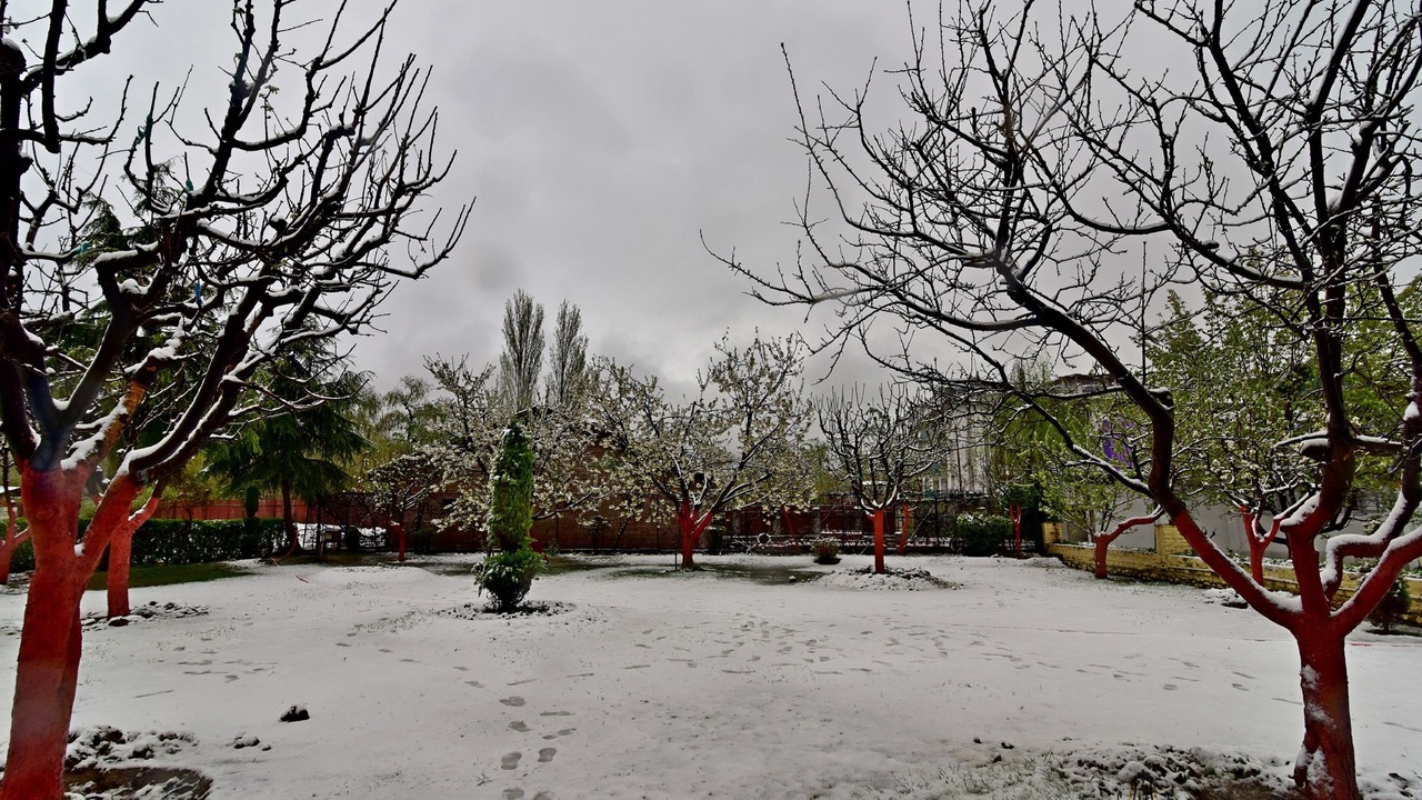 Photo of Outdoor in Srinagar