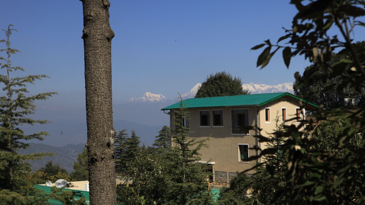 Photo of Outdoor in Almora