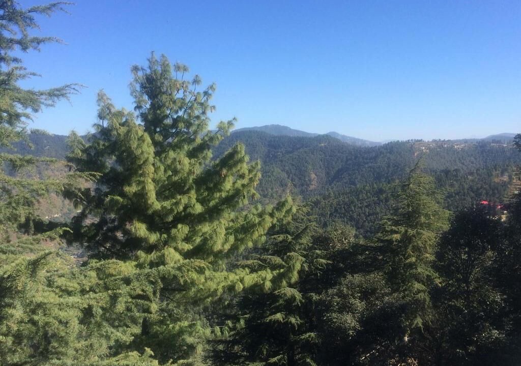 Photo of Outdoor in Shimla