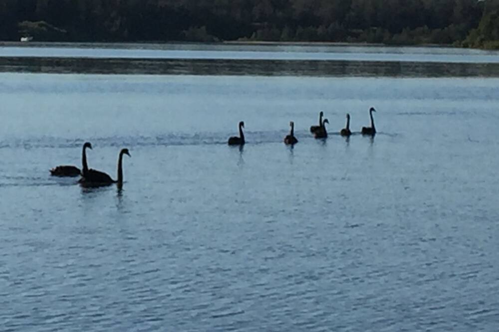 Photo of Outdoor in Marks Point