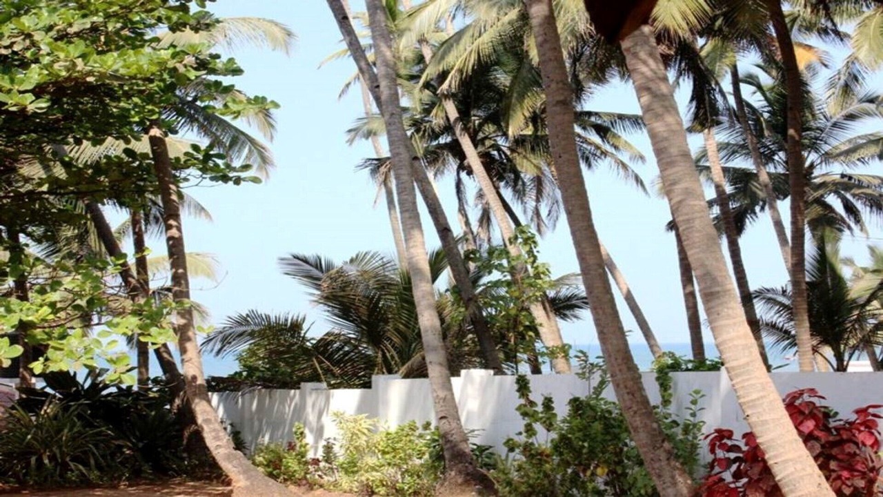 Photo of Outdoor in Anjuna