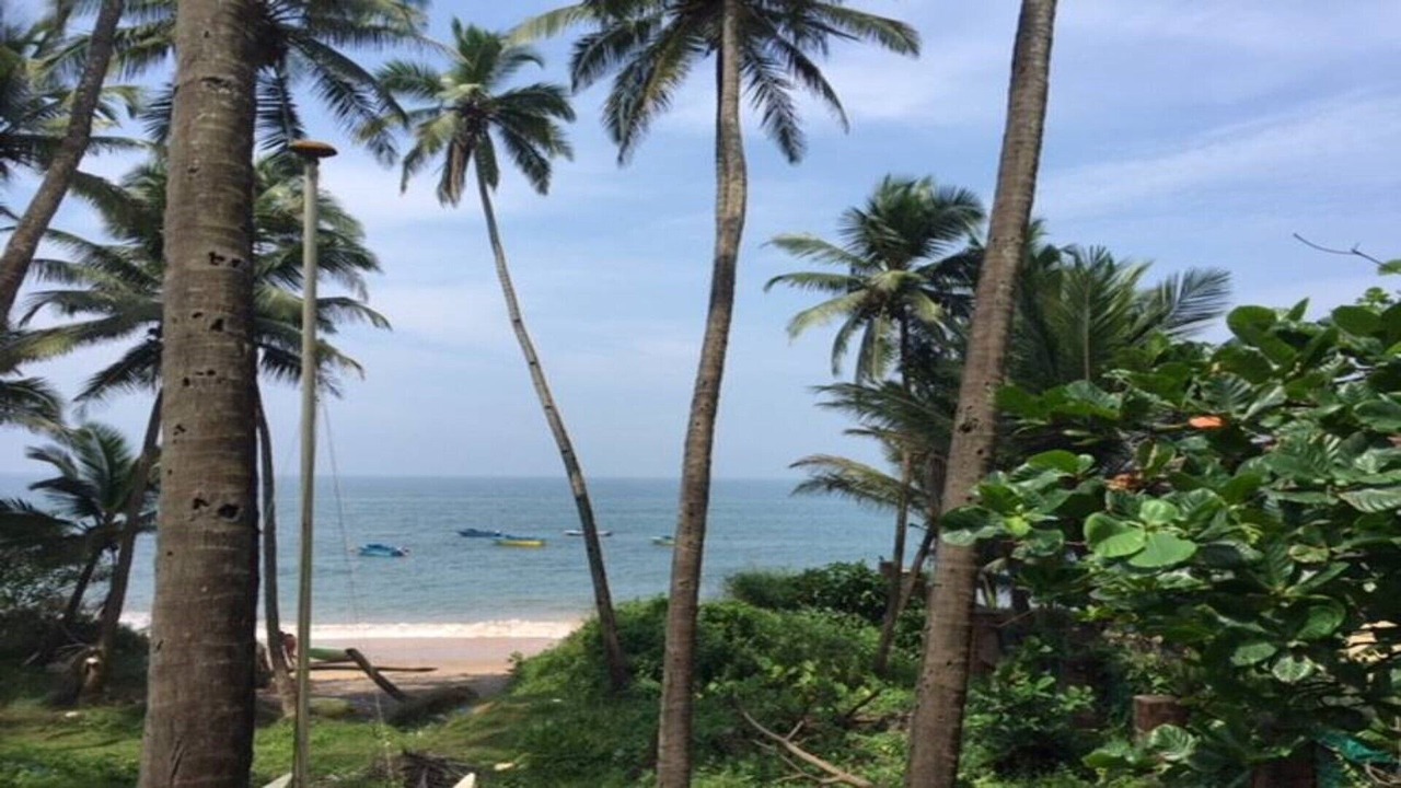 Photo of Others in Anjuna