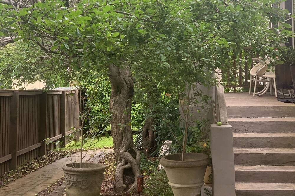 Photo of Outdoor in Mittagong
