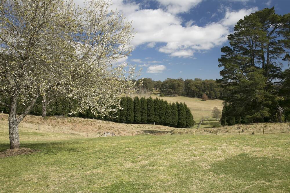 Photo of Outdoor in East Bowral
