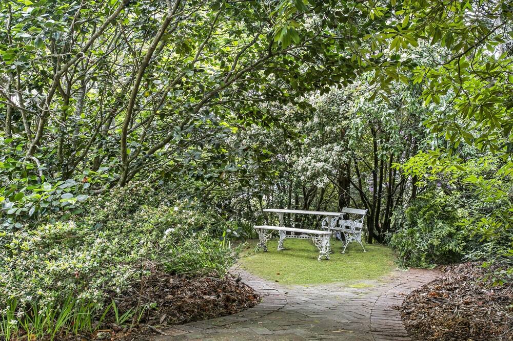 Photo of Outdoor in Wentworth Falls