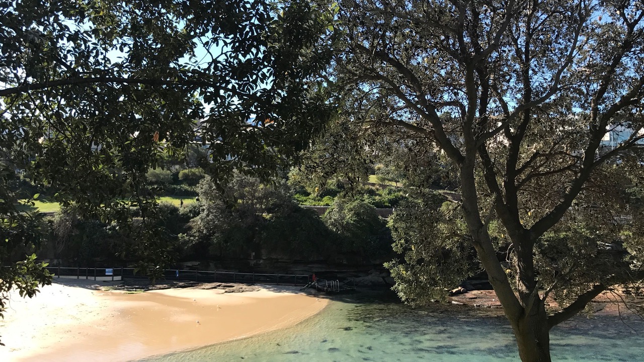 Photo of Others in Bronte