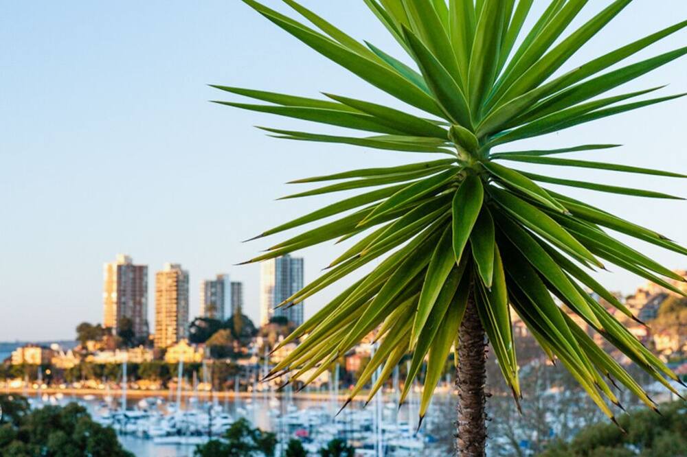 Photo of Others in Rushcutters Bay