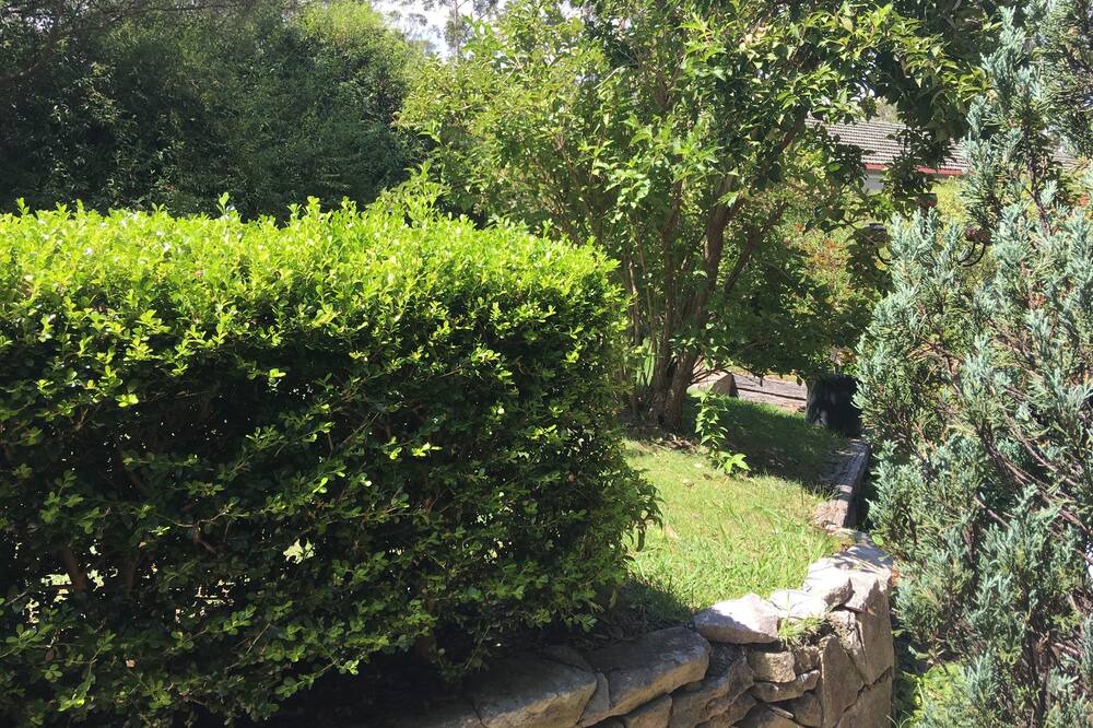 Photo of Outdoor in Katoomba