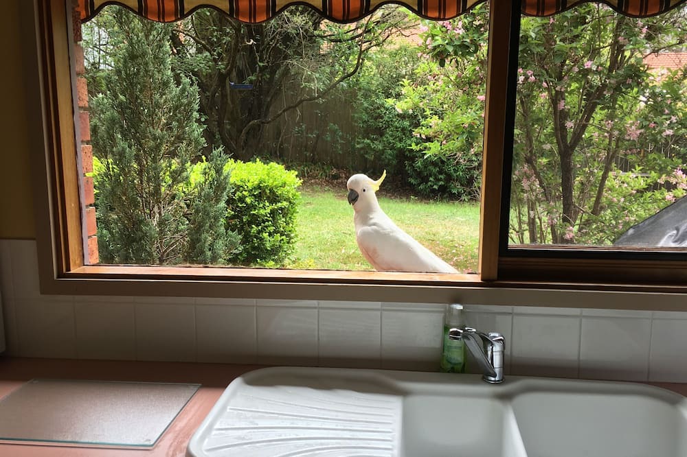Photo of Others in Katoomba