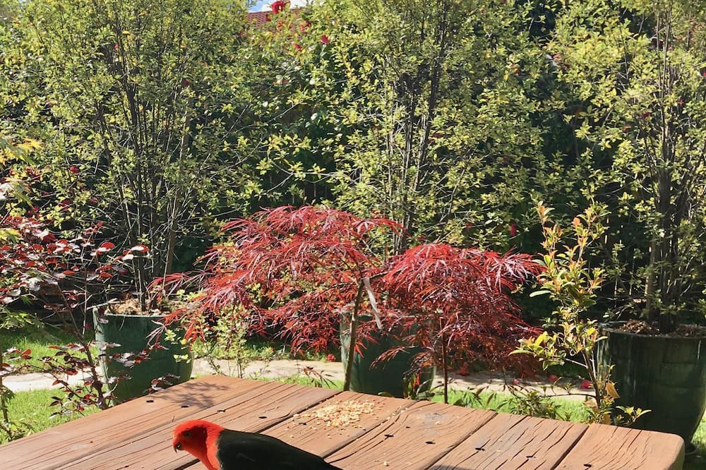 Photo of Patio Balcony in Katoomba