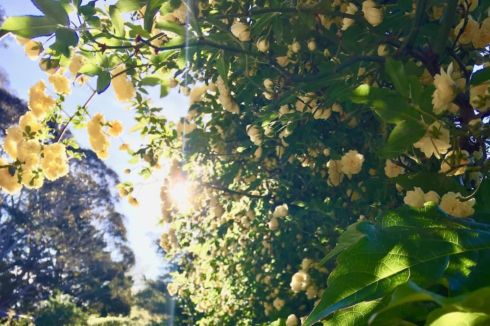 Photo of Outdoor in Katoomba