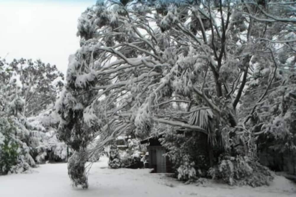 Photo of Outdoor in Katoomba