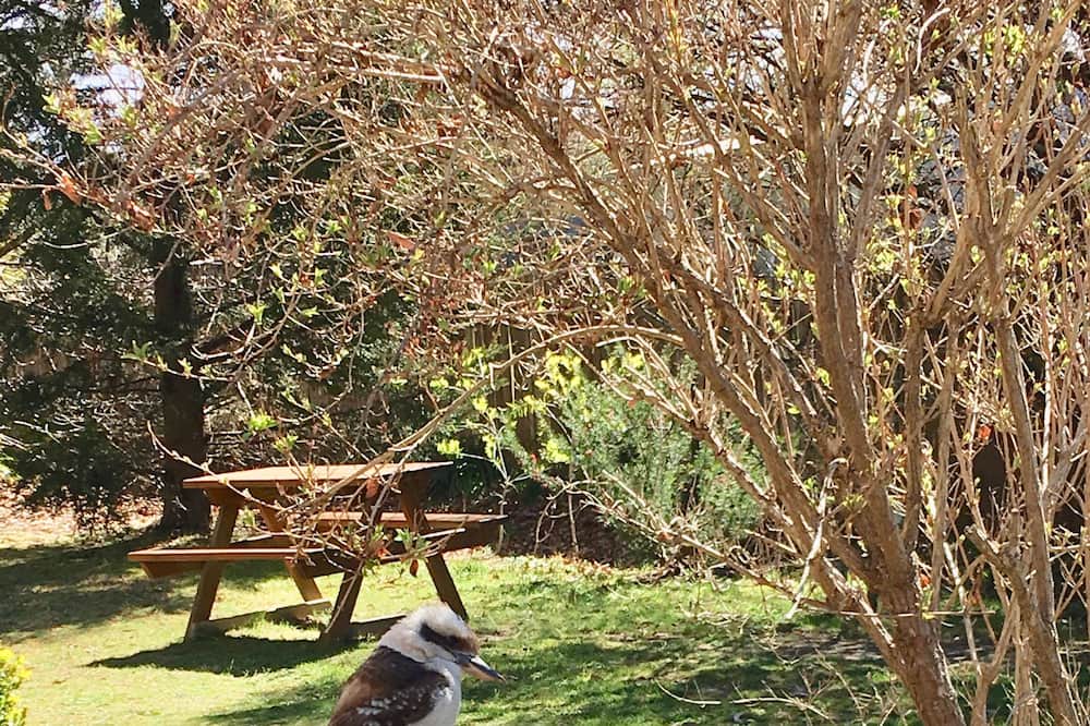 Photo of Outdoor in Katoomba