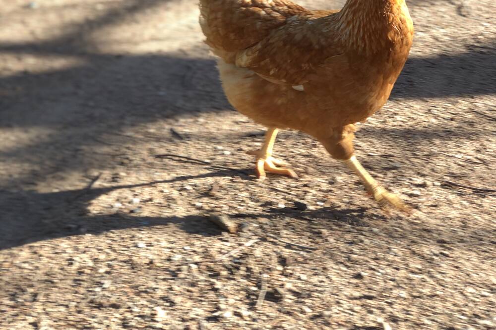 Photo of Others in Manchester Square