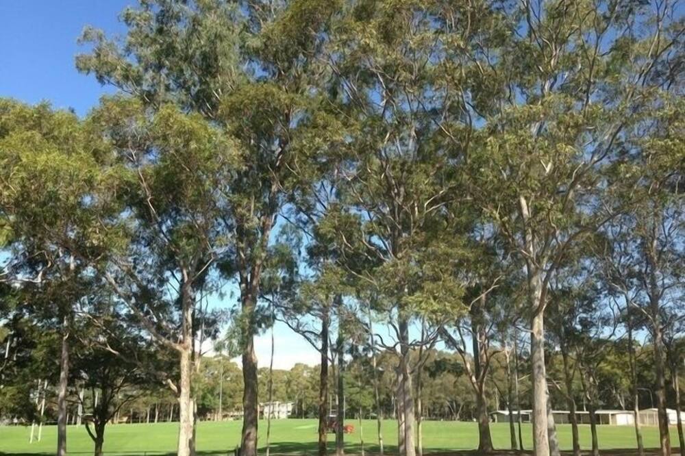 Photo of Outdoor in North Parramatta
