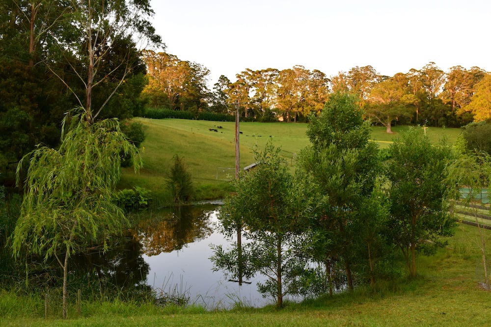 Photo of Outdoor in Wildes Meadow