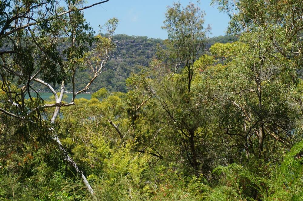 Photo of Outdoor in Dangar Island