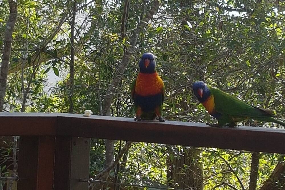Photo of Others in Dangar Island