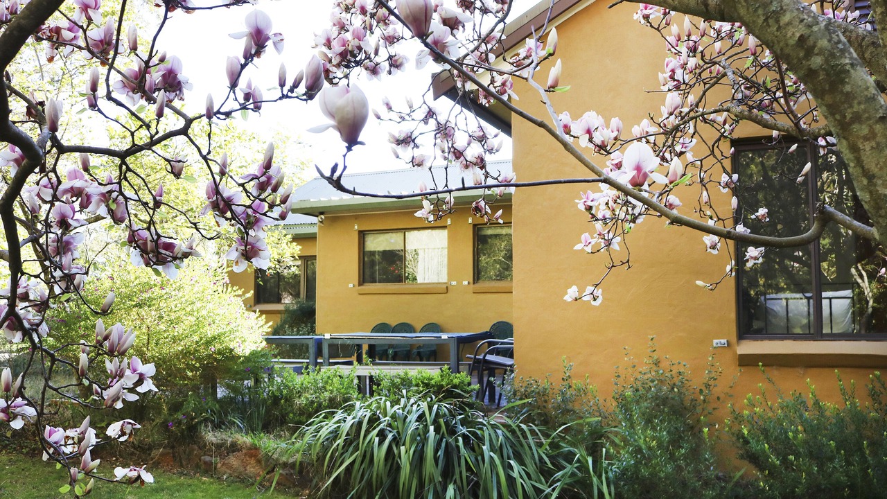 Photo of Outdoor in Wentworth Falls