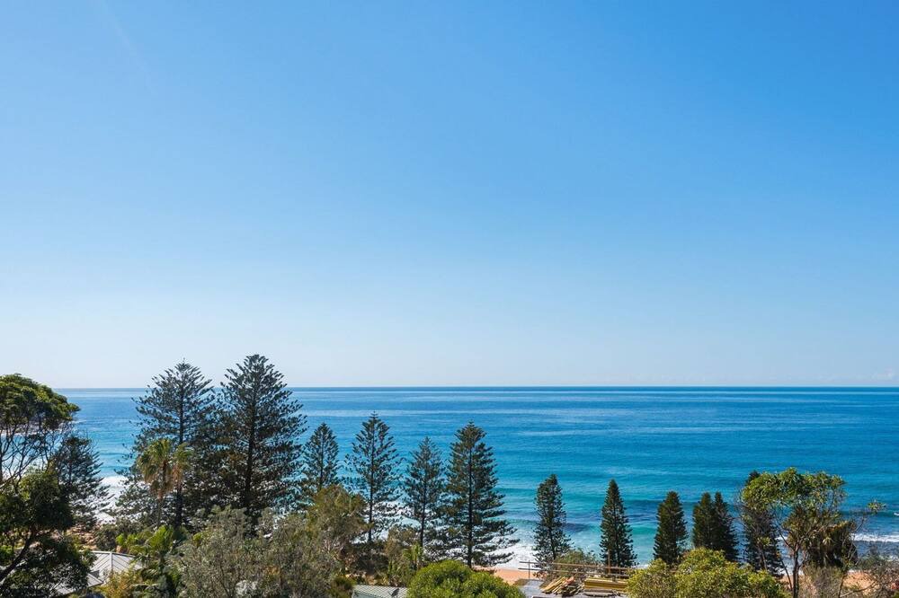 Photo of Others in Whale Beach