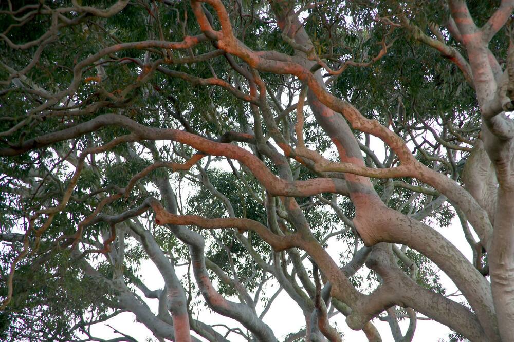 Photo of Others in Bundeena