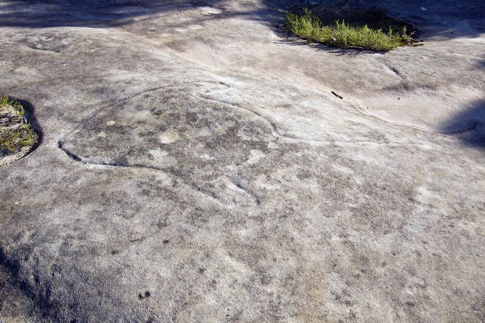 Photo of Others in Bundeena