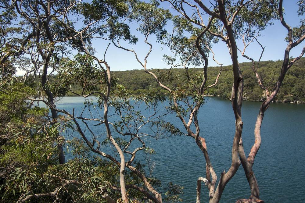 Photo of Others in Bundeena