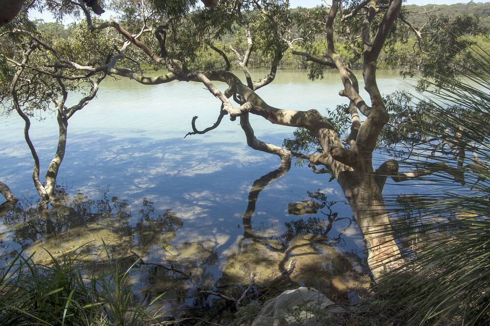 Photo of Others in Bundeena