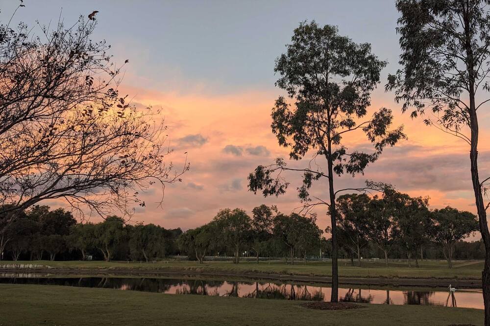 Photo of Outdoor in Lovedale