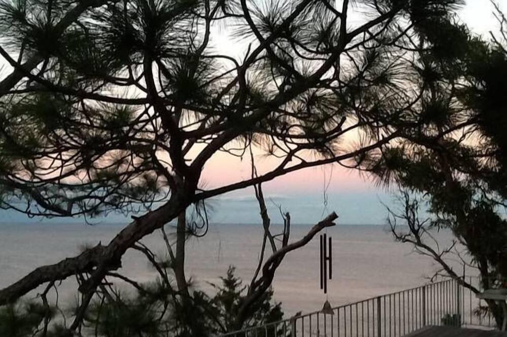 Photo of Outdoor in Palm Beach