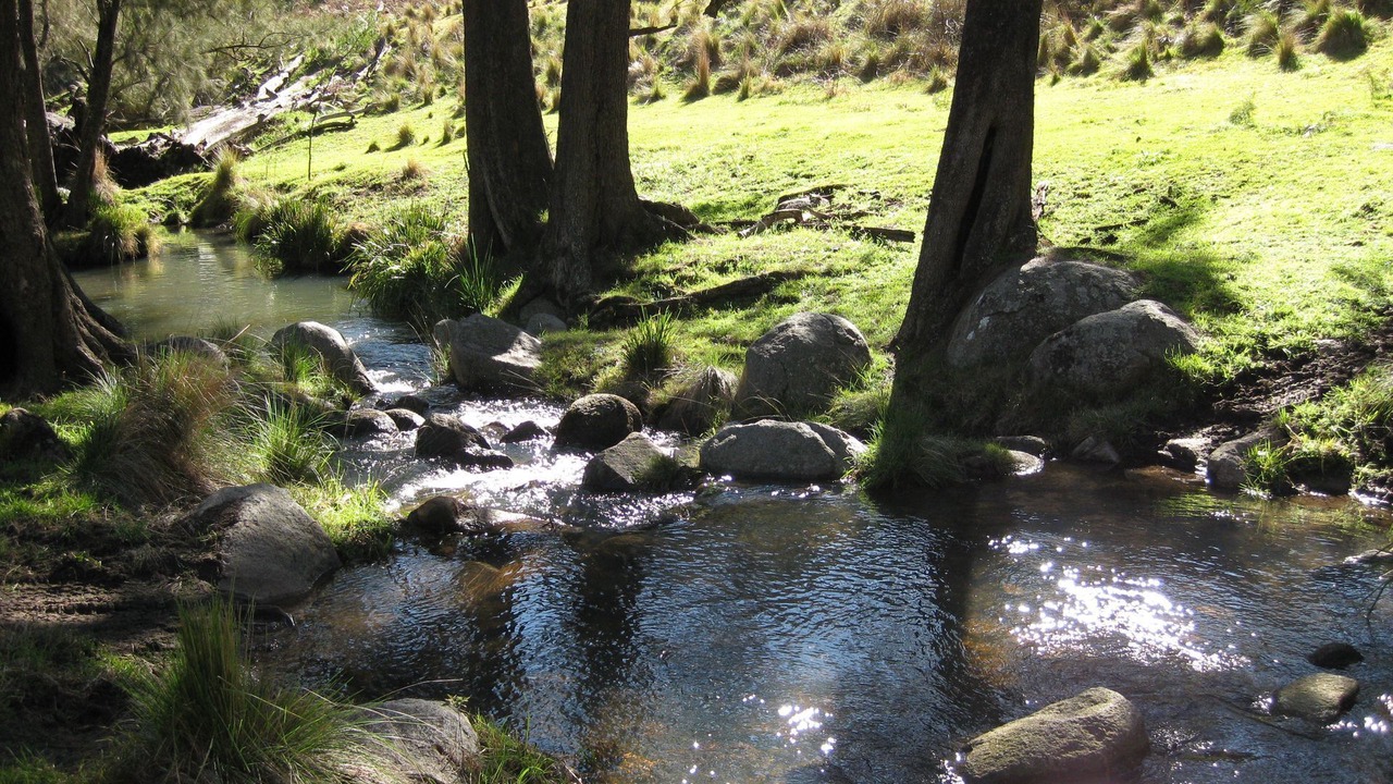 Photo of Outdoor in Blackheath