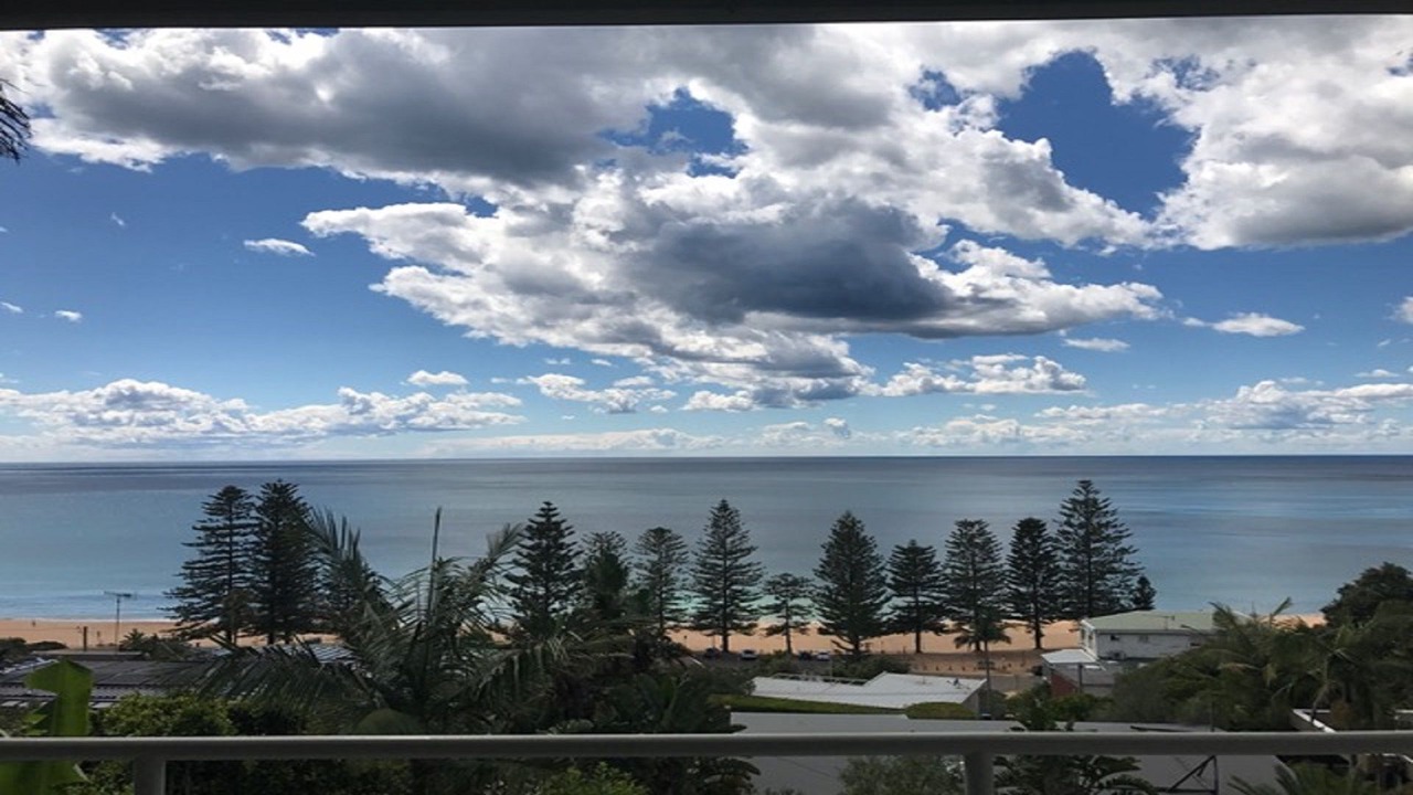 Photo of Others in Whale Beach