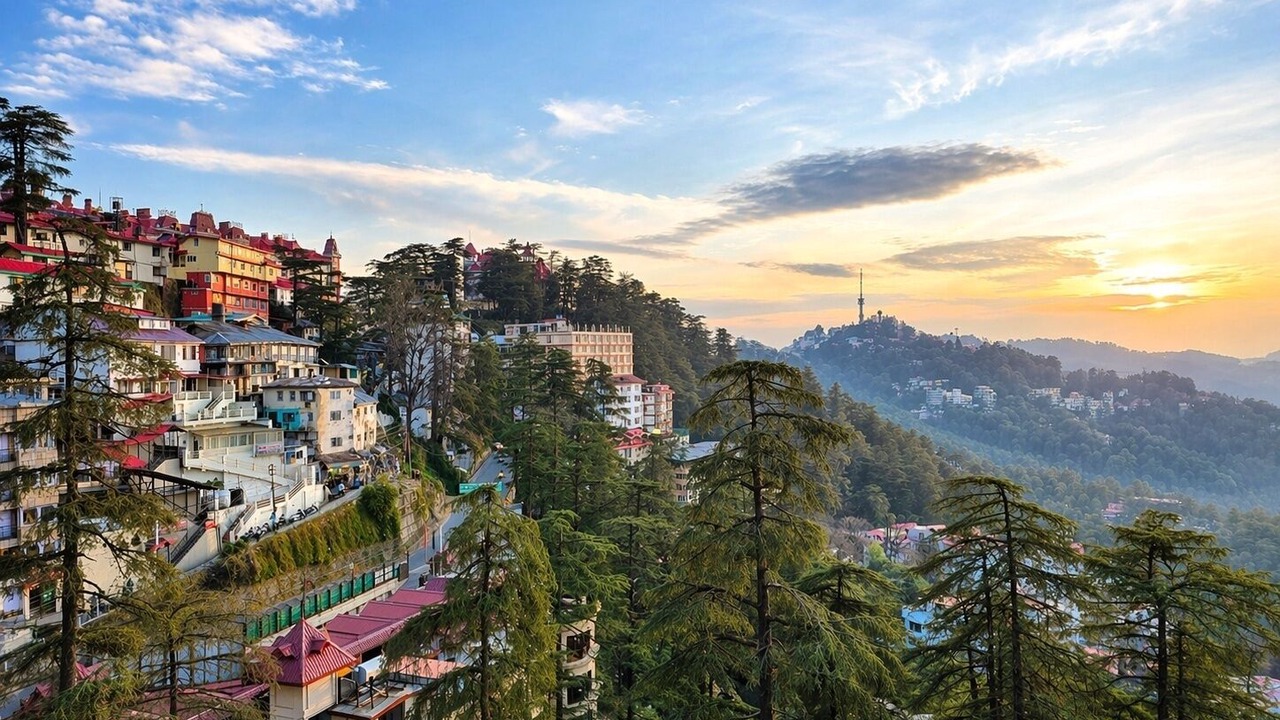 Photo of Others in Shimla