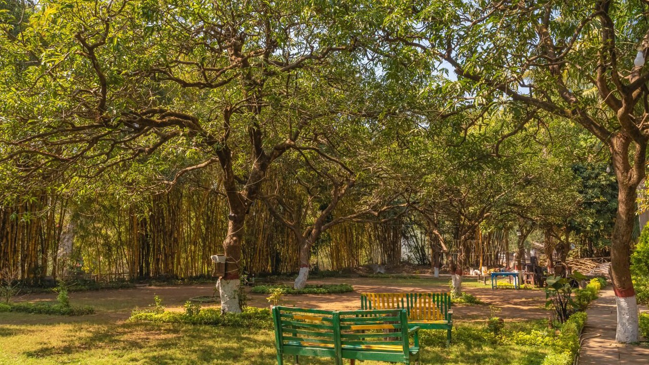 Photo of Outdoor in Pachmarhi