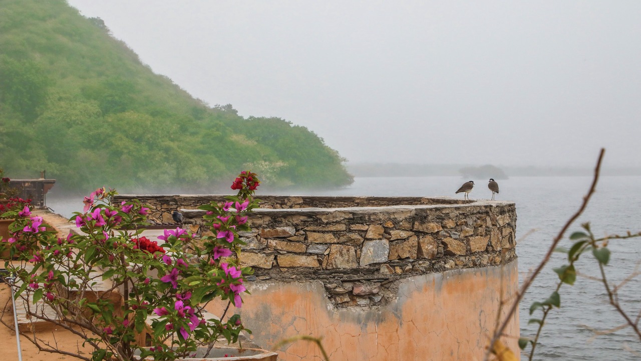 Photo of Outdoor in Nimaaj