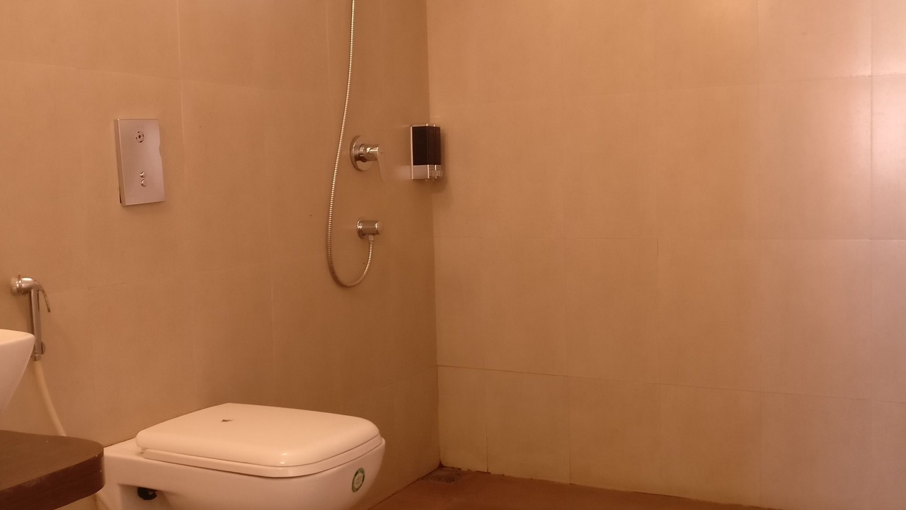 Photo of Bathroom in Maharana Pratap Nagar
