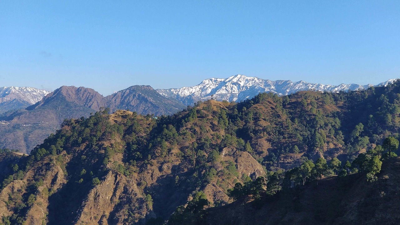 Photo of Others in Tehri
