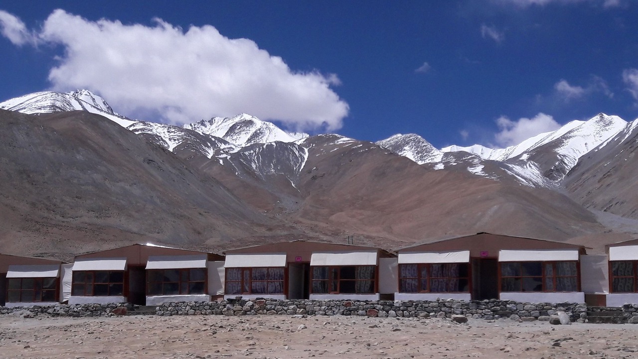 Photo of Others in Leh