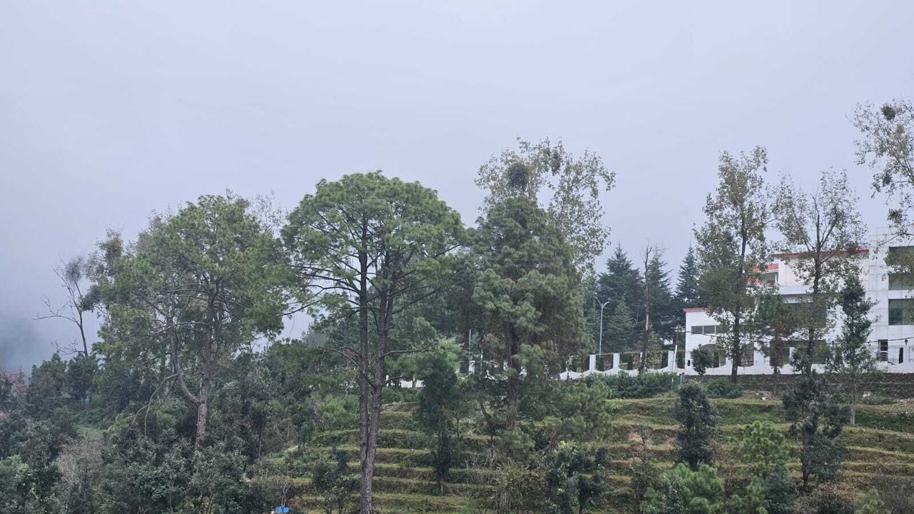 Photo of Others in Bhowali