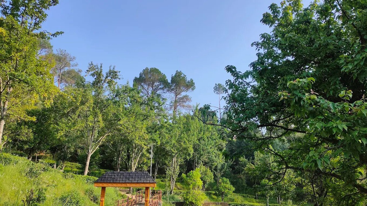 Photo of Others in Kausani