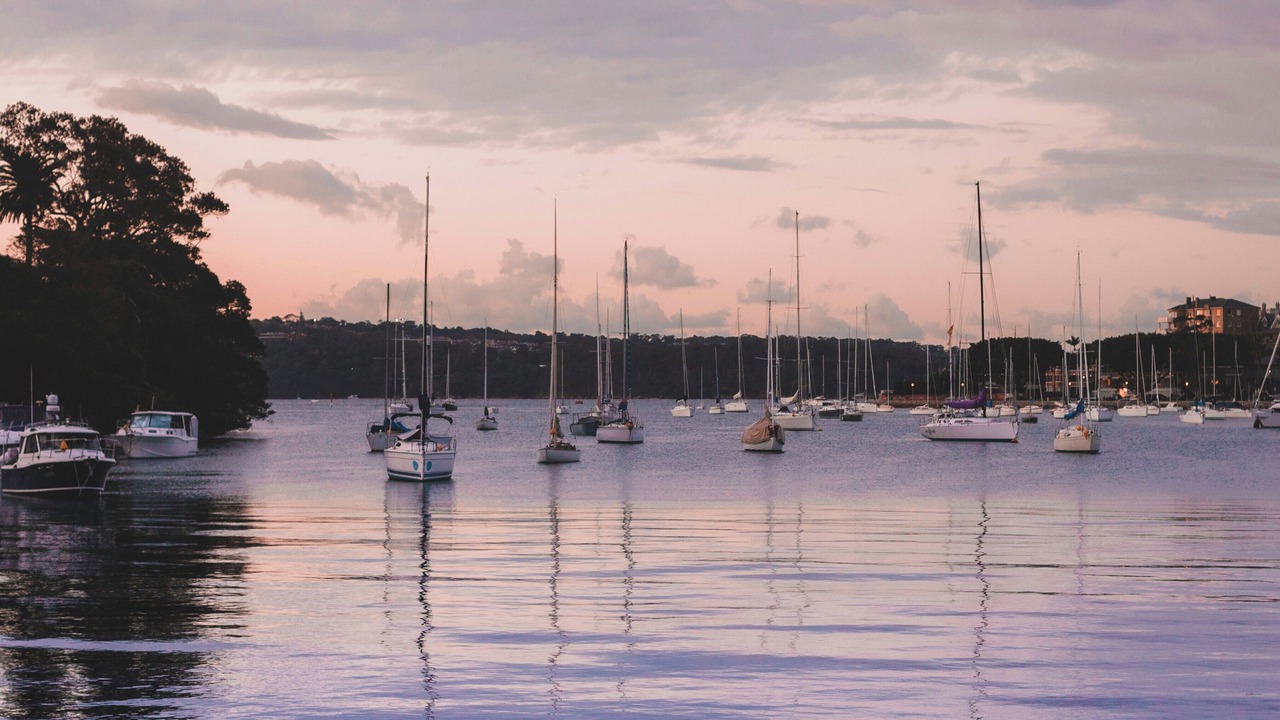 Photo of Outdoor in Potts Point