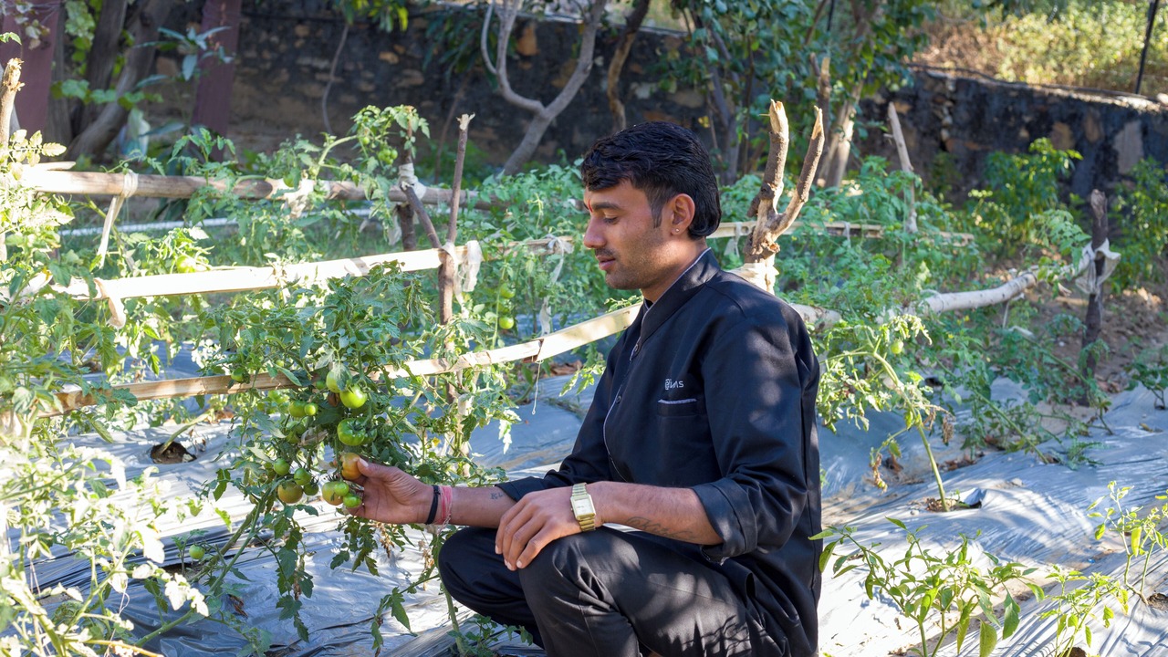 Photo of Others in Udaipur District