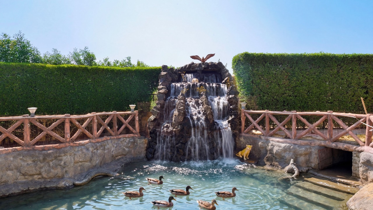 Photo of Outdoor in Matar