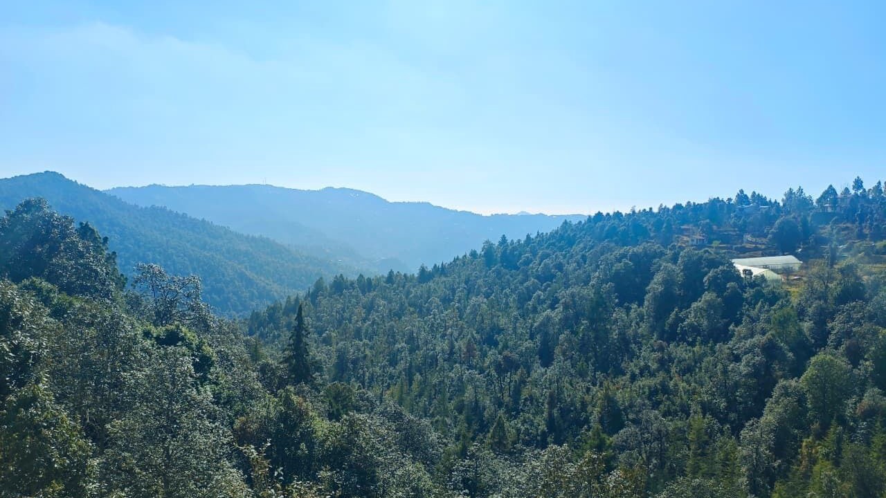 Photo of Others in Mukteshwar